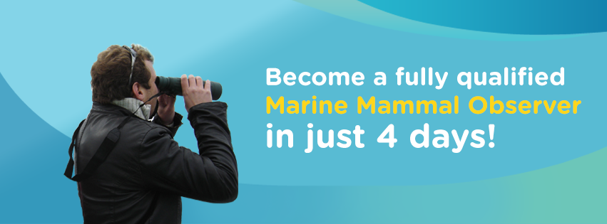 Marine Mammal Observer course